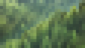 Photo Na Zemi sú 3 bilióny stromov. Startup našiel spôsob, ako ich všetky monitorovať