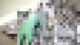 Photo Spotrebiče prívetivé pre domácich miláčikov by mali byť rovnakou samozrejmosťou ako tie pre deti