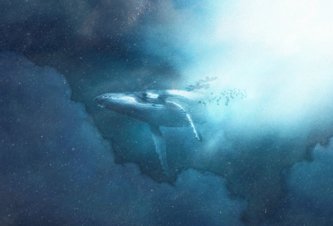 Photo Veľryby môžu byť tajnou zbraňou v boji proti klimatickým zmenám