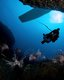 Photo Robotická ponorka dokáže loviť podmorských predátorov