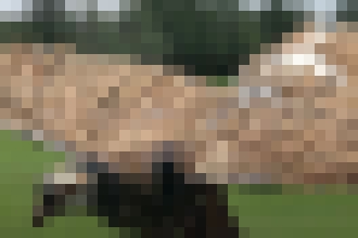 Photo Vedci preložili jazyk, ktorý sa nepoužíval tisíce rokov