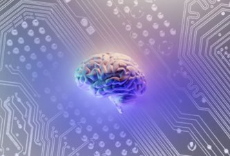 Photo Počítače využívajúce ľudské mozgové organoidy budú oveľa výkonnejšie ako umelá inteligencia