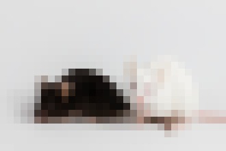 Photo Vytvorili myši, ktoré majú dvoch otcov ale ani jednu matku