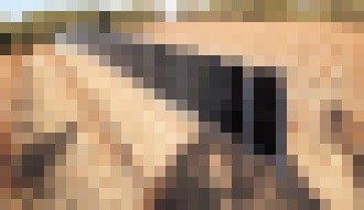 Photo Vertikálne solárne panely môžu priniesť prielom do využívania slnečnej energie