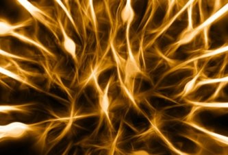 Photo Neuromorfná sieť strieborných nanodrôtov sa správa podobne ako ľudský mozog 