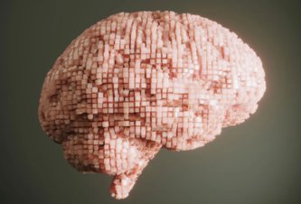 Photo Organoidná inteligencia: Prvé počítače na báze biologických neurónov prídu už o pár rokov