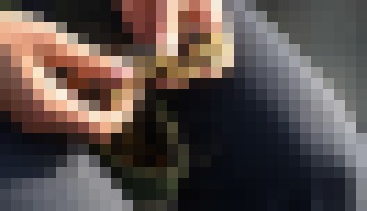 Photo Pomocou inteligentných nábojov sa špičkovým ostreľovačom môže stať aj začiatočník