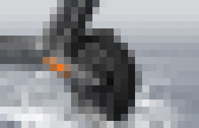 Photo Nový prieskum ukázal, že Slováci obľubujú e-kolobežky, dokonca aj ľudia nad 60 rokov