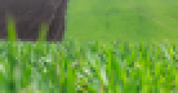 Photo Ako vybrať správnu robotickú kosačku 