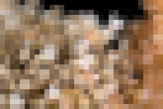 Photo Tabletka na „večný život“ sa môže stať realitou