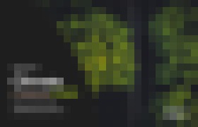 Photo ASUS patrí k oceneným Climate Leaders Asia-Pacific už druhýkrát 