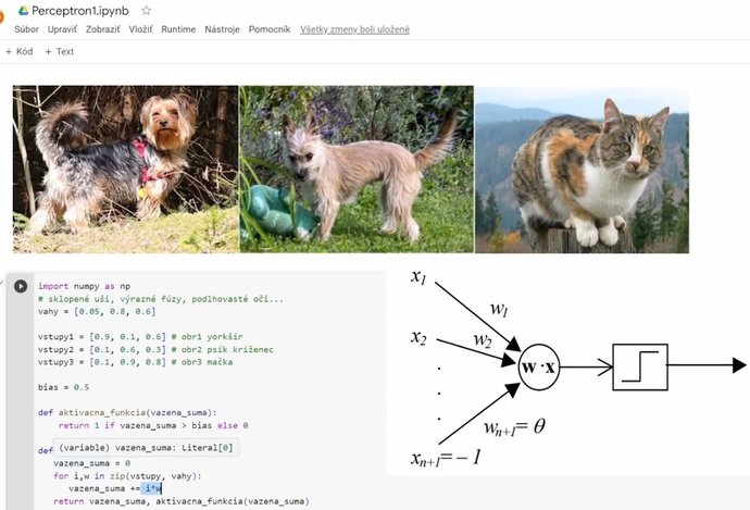 Photo ML v Pythone 9 – trénovanie neurónu
