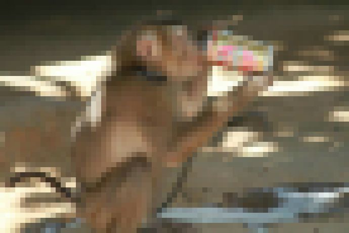 Photo Bude sa dať alkoholizmus vyliečiť injekciou do mozgu?