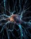 Photo Reverzné inžinierstvo nervového systému nám poskytne prevratné informácie