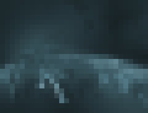 Photo Editorial: Explózia rozmanitosti 