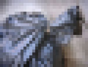 Photo Veľmi netradičný spôsob nakladania s plastovým odpadom