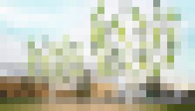 Photo Veterné “stromy“ s mikroturbínami vyrobia dostatok energie pre mestské budovy