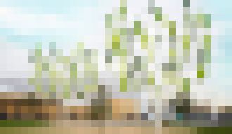 Photo Veterné “stromy“ s mikroturbínami vyrobia dostatok energie pre mestské budovy