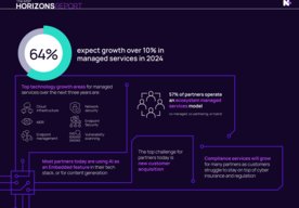 Photo N-able MSP Horizons Report: 97 % partnerov očakáva rast v oblasti riadených IT služieb  