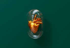 Photo AI skúma srdcia vypestované v laboratóriu na liečenie srdcových chorôb 