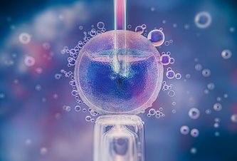 Photo Mikroplasty sa už nachádzajú aj v ľudskej placente