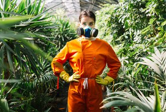 Photo Našli spôsob, ako zlikvidovať burinu umelým svetlom