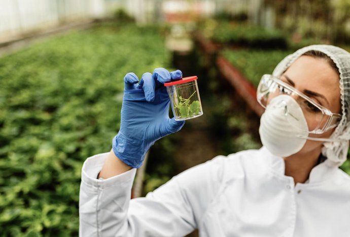 Photo Nový druh červa by mohol ochrániť úrodu pred škodcami 