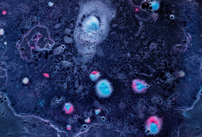 Photo Vloženie proteínov z tardigrady do ľudských buniek môže spomaliť ich starnutie