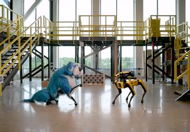 Photo Robotický pes Spot má nového chlpatého súrodenca 