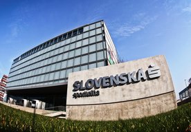 Photo Bútľavé vŕby: Inovatívny projekt Slovenskej sporiteľne pomáha zamestnancom s mentálnym zdravím