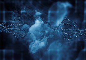 Photo Hackerský prístup priniesol úplne nový spôsob boja s rakovinou 