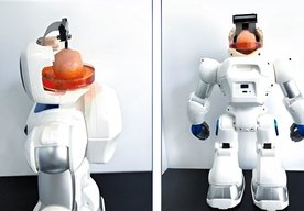 Photo Roboty ovládané živými mozgovými bunkami  