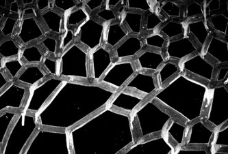 Photo Unikátny materiál bol vytvorený atóm po atóme. Môže transformovať elektroniku