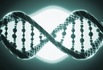 Photo Poškodenie DNA pri použití technológie CRISPR bolo „vážne podhodnotené“