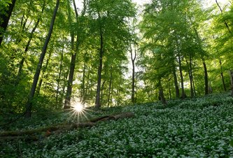 Photo Epson Europe vydáva správu o udržateľnom rozvoji v rokoch 2023/24