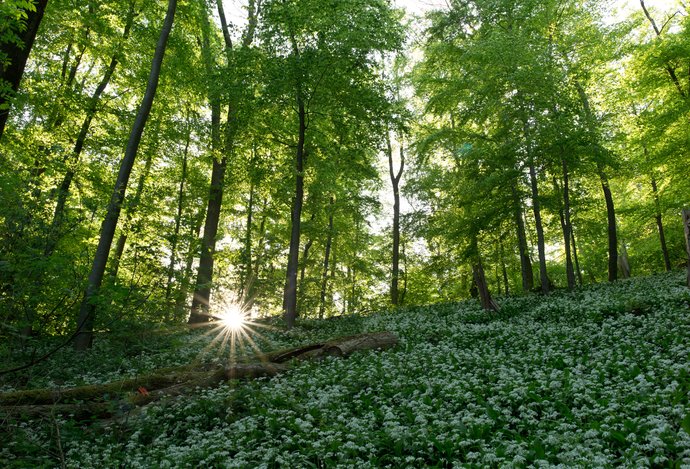 Photo Epson Europe vydáva správu o udržateľnom rozvoji v rokoch 2023/24