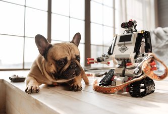 Photo Takto reagujú skutoční psy na tých robotických  