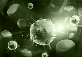 Photo Našli spôsob ako podporiť imunitný systém pri boji s rakovinou