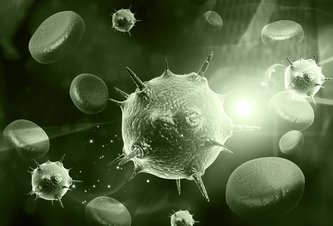 Photo Našli spôsob ako podporiť imunitný systém pri boji s rakovinou