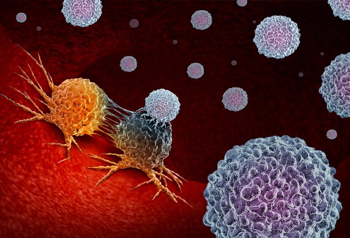 Photo Našli spôsob, ako zvrátiť rakovinové bunky späť na normálne