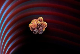 Photo Existujúci liek na srdce pomáha zabrániť šíreniu rakoviny