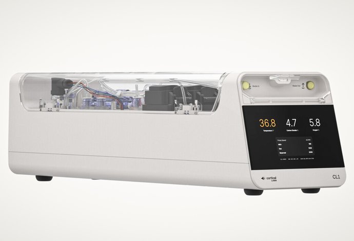 Photo Prvý „bio počítač“ na svete spája ľudské mozgové bunky s kremíkovým hardvérom