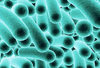 Photo Modifikované baktérie dokážu vytvoriť biologicky odbúrateľný plast