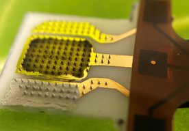 Photo Inteligentný senzor dokáže upozorniť keď sú rastliny v strese