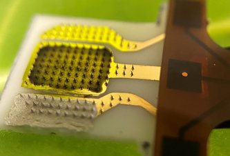 Photo Inteligentný senzor dokáže upozorniť keď sú rastliny v strese