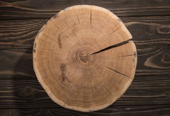 Photo „Samozhutnené“ drevo má pevnosť a húževnatosť na úrovni kovu