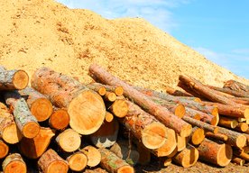 Photo Unikátne riešenie na skladovanie obnoviteľnej energie s použitím pilín z borovice