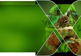 Photo AI mení úpravy fotiek: Zoner Photo Studio X zjednodušuje maskovanie a aj prácu so svetlom