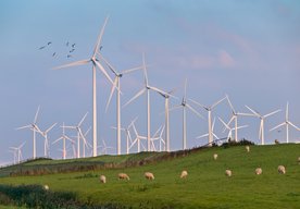 Photo Veterné farmy si navzájom „kradnú“ energiu  