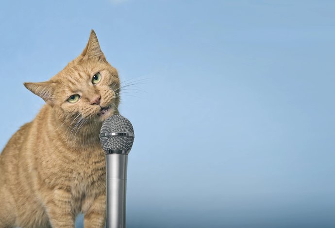 Photo AI dekóduje reč zvierat: Mali by sme sa s nimi začať rozprávať?